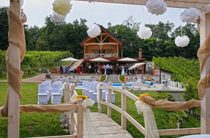 Caption Text