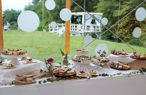 Caption Text